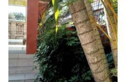 Hospedagem Canto Das Pedras - Foto 15