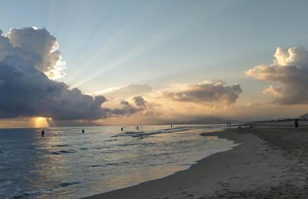 AmaNacer Oliva - Photo 21