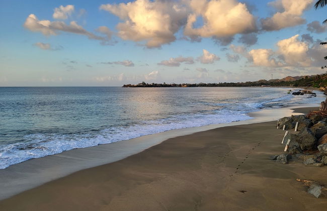 Birdie's Nest - Foto 36