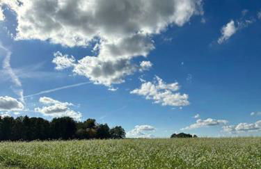 Wassermühle Triglitz - Alleinlage für Retreats, Workshops, Family & Friends - Foto 78