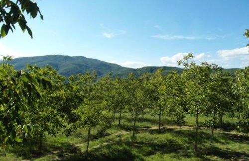 Holiday Home in Citerna near Castello Bufalini - Foto 30