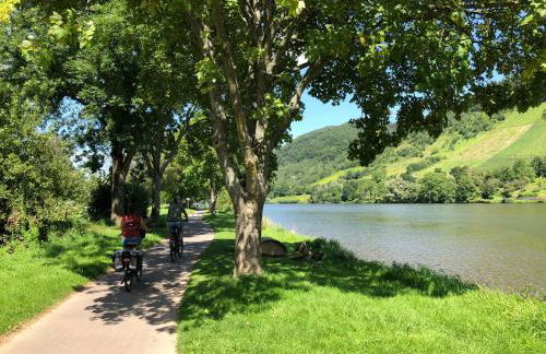 Ferienhaus Kaimt Zell - Foto 55