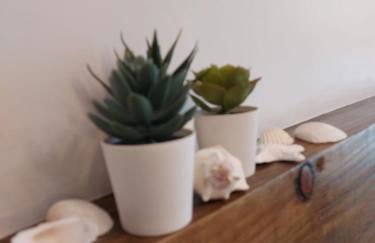 Potts House - Hornsea on the Yorkshire coast - Foto 27