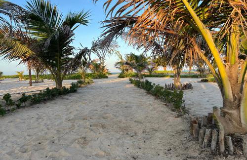 Jurema Dourada - Photo 17