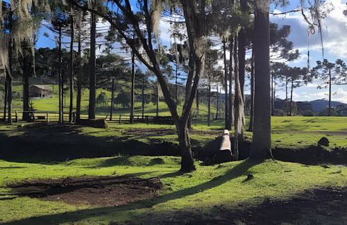 Cabana Pequeno Bosque som dás Águas - Foto 32