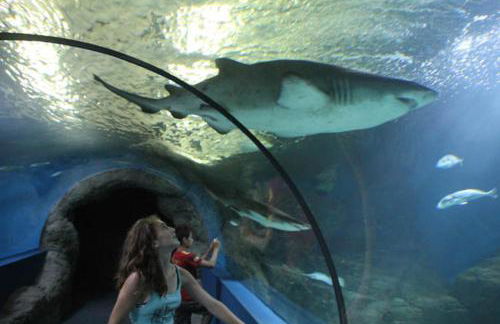 Los Pinos Mar y Montaña - Photo 41