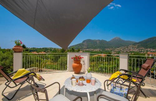 Rosa Maison - Foto 50