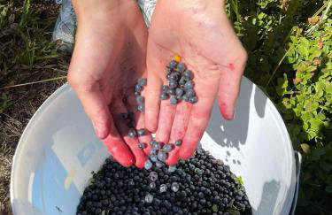 Nad Mikowym Potokiem - wydzielona część drewnianego domu z osobnym wejściem i ogrodem - Foto 7