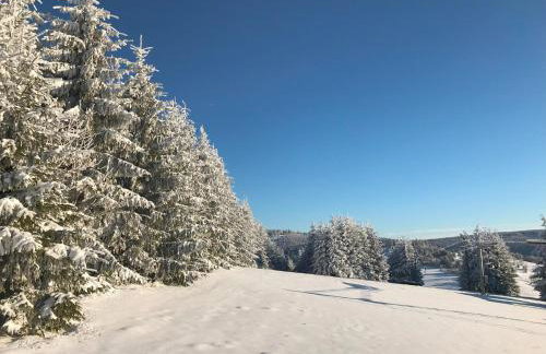 Brzozowa Osada - Foto 59