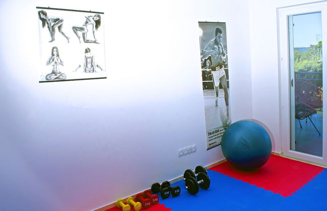 Vila Brajda - Foto 30