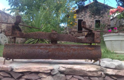 Oforasteiro - Foto 36