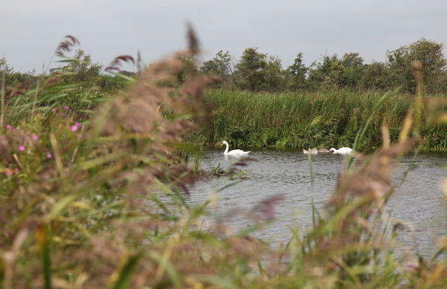 Rustic-chic Villa With Thatched Roof - Photo 28