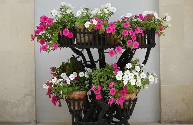 Casina Bardoscia Relais - Photo 37