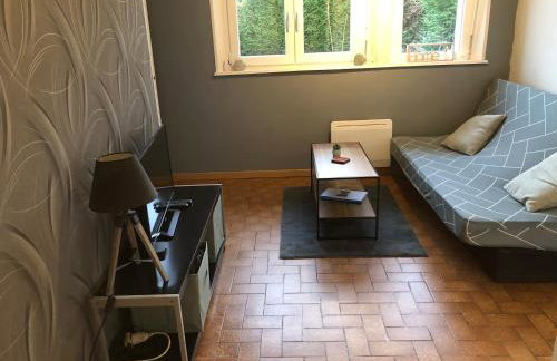 Magnifique Logement f2 Vosges La vôge-les-bains - Foto 18