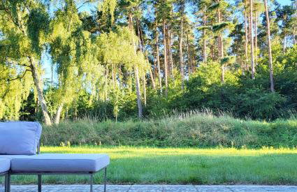 Deine Ruhe Oase mit Waldblick - Photo 1