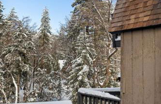 Arrowbear Retreat - EV Charging, Generator, Arcade - Foto 29