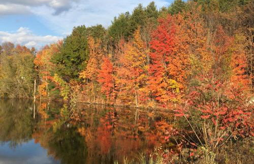 3 bed Lake Sammamish Waterfront + Peloton Bike - Foto 69