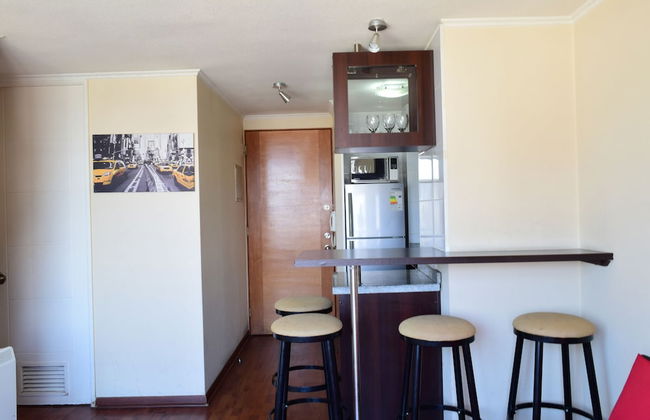 Santiago Furnished Apartments - Foto 18