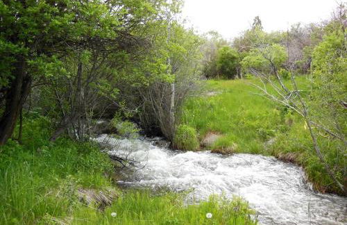 Scenic Cabin with Wildlife Views Near Madison River, Ennis, Montana - Foto 15