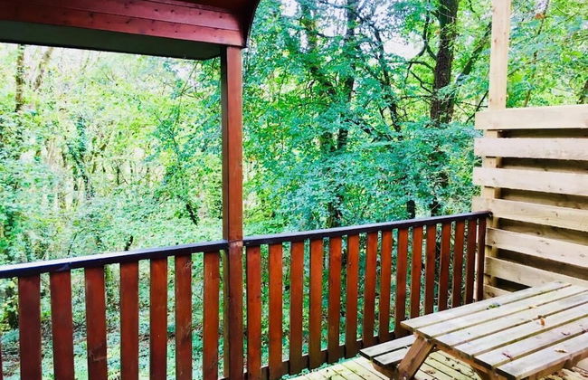 Goldcrest 3 Hot Tub - Foto 9