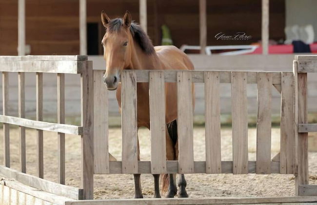 St Georges - Foto 15