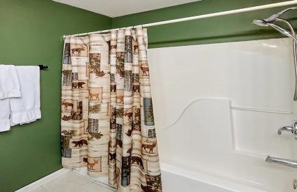 Bear Splashin Fun - Photo 14