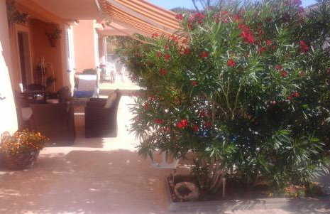 Apartments Jela - Foto 8