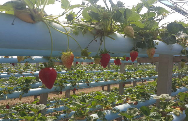 Tour del quartiere Ana Rech - Foto 5