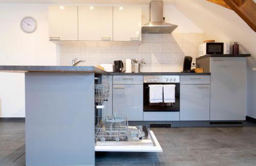 Stay and Work Apartment - 8 single beds - Garage - Foto 12