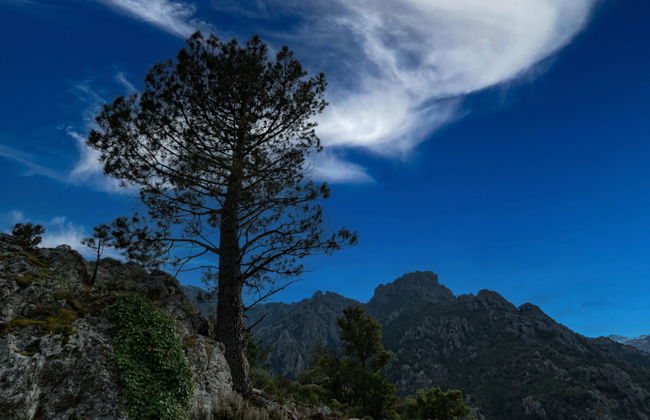 Migone de Sampolo - Foto 33