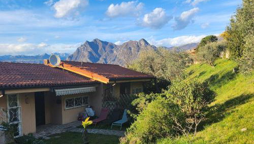 L' Oliva Nera - Foto 4