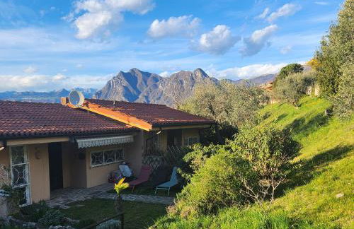 L' Oliva Nera - Foto 4