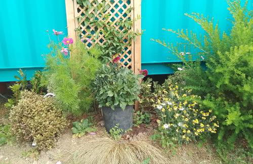 Bluebell Cabin - Foto 33