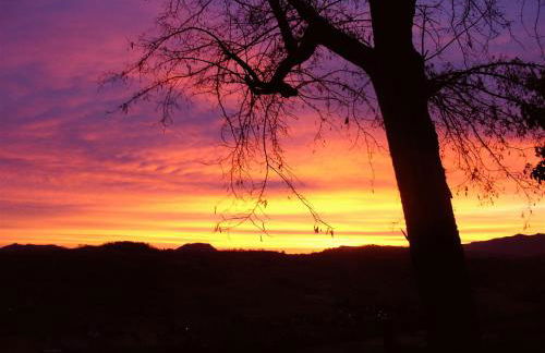 Agriturismo Ca' Isotta - Photo 13