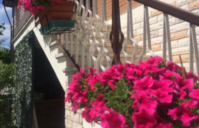 La Signora Dei Fiori - Foto 42