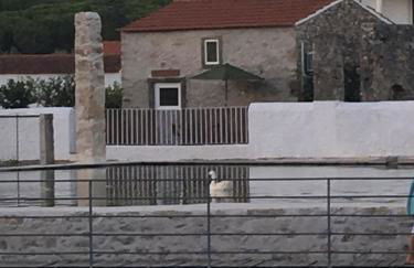 Casa da Azenha Castellvm - Foto 1