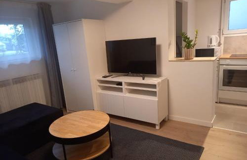 Apartment Lenchy 2 - Foto 2