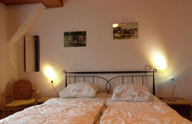 Ferienhaus in Winterberg- Atlastenberg - Photo 4