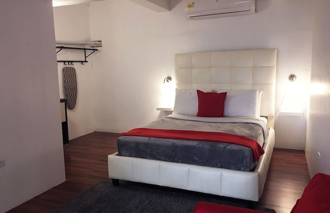 Gladiolas 2102 - Foto 2