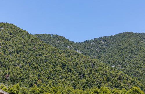 Forest view villa Skopelos - Foto 29