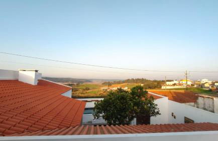 LARANJEIRA das LOIRAS - Foto 69