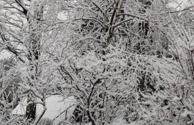 Kuća za odmor Iva - Foto 2