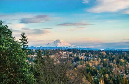 Moder charmer 4 BR 3 BA 12 Miles to Seattle, 3 miles to Airport near the mall - Foto 70