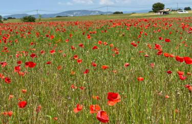 Provence Sweet Home - Foto 37