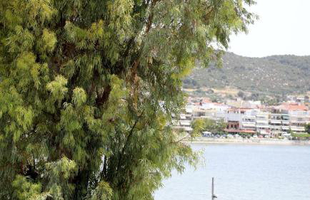 Chalkida Sea View Residence - Foto 22