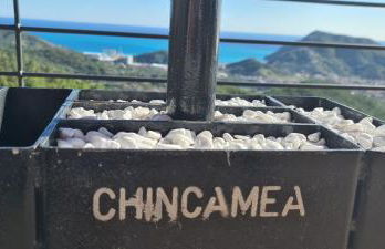 Chincamea - Foto 26