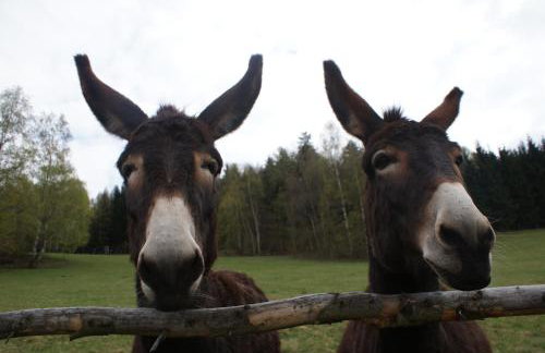 Apartament Pod Bukiem - Foto 7