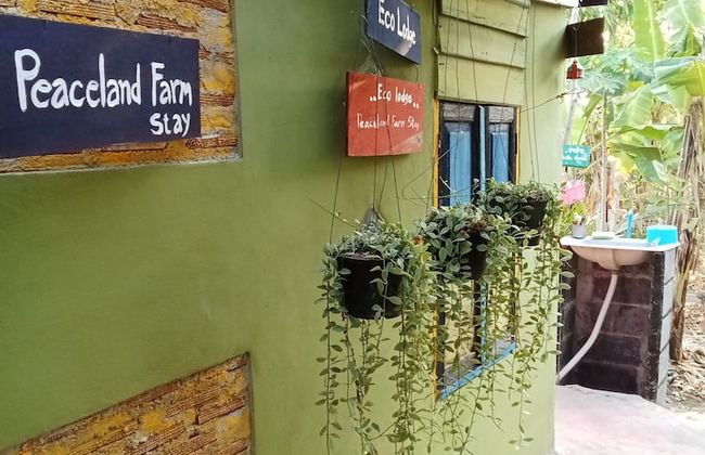 peaceland farmstay - Photo 11