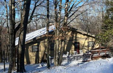 Beech Mountain Swiss-style Chalet - Foto 2