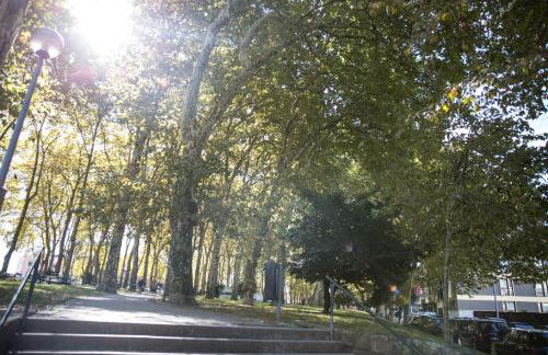 Estúdio Corujeira - Foto 9